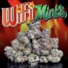 wifi mints strain