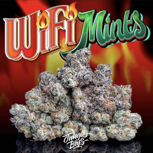 wifi mints strain