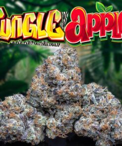 jungle apples strain