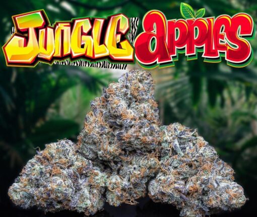 jungle apples strain