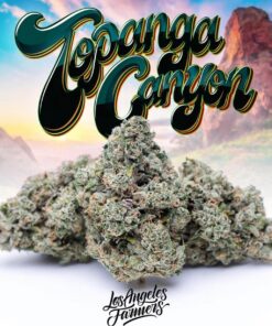 topanga canyon strain