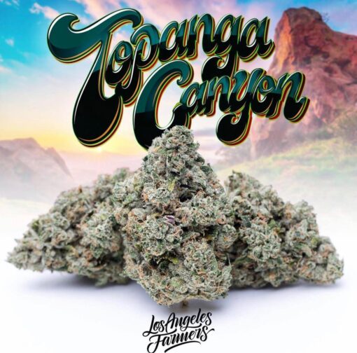 topanga canyon strain