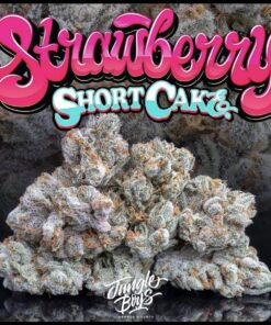 strawberry shortcake strain