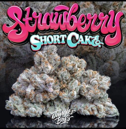 strawberry shortcake strain