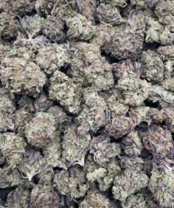 Samoas