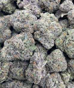 Grape Sorbet