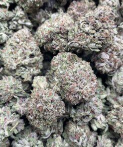 Purple Plat