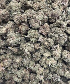 Pink Gelato
