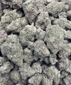 Dragon Berry