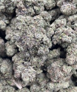 Peppermint Bark