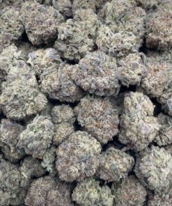 King's Stash