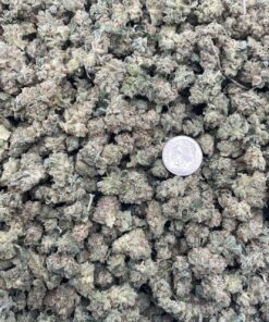 Godzilla Glue [Smalls]
