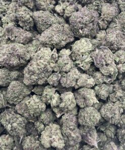 Blueberry AK